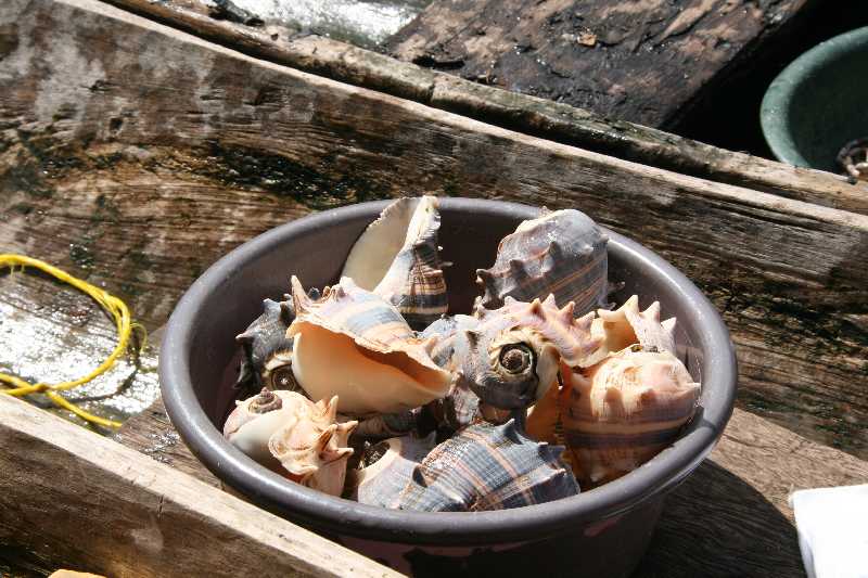 Mexico & Guatemala 2010 - 0972